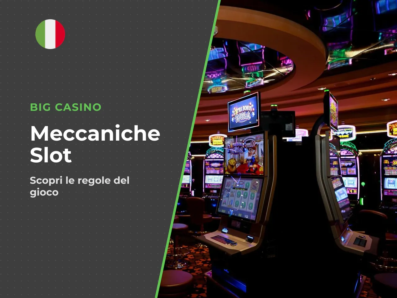 Campo di gioco, rulli e vincite ordinarie. Il campo di gioco è composto da 5 rulli verticali e 3 righe orizzontali, con 10 linee fisse. Le vincite base con simboli ordinari raramente superano l'import