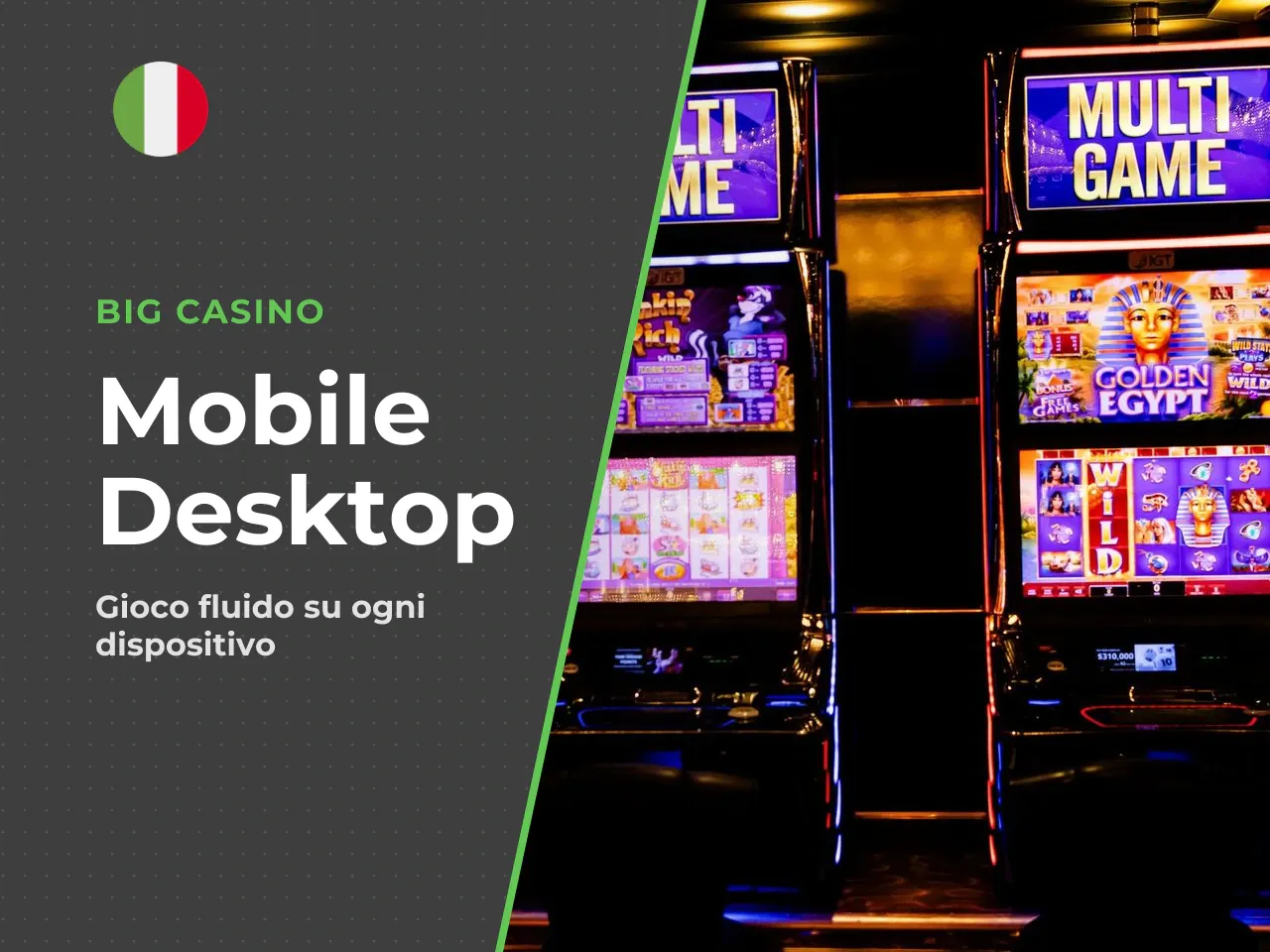 Versione desktop e mobile. La fruizione