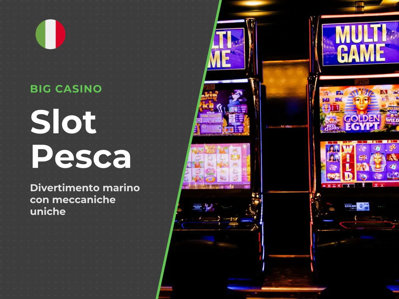 Tema pesca, grafica e gameplay. La