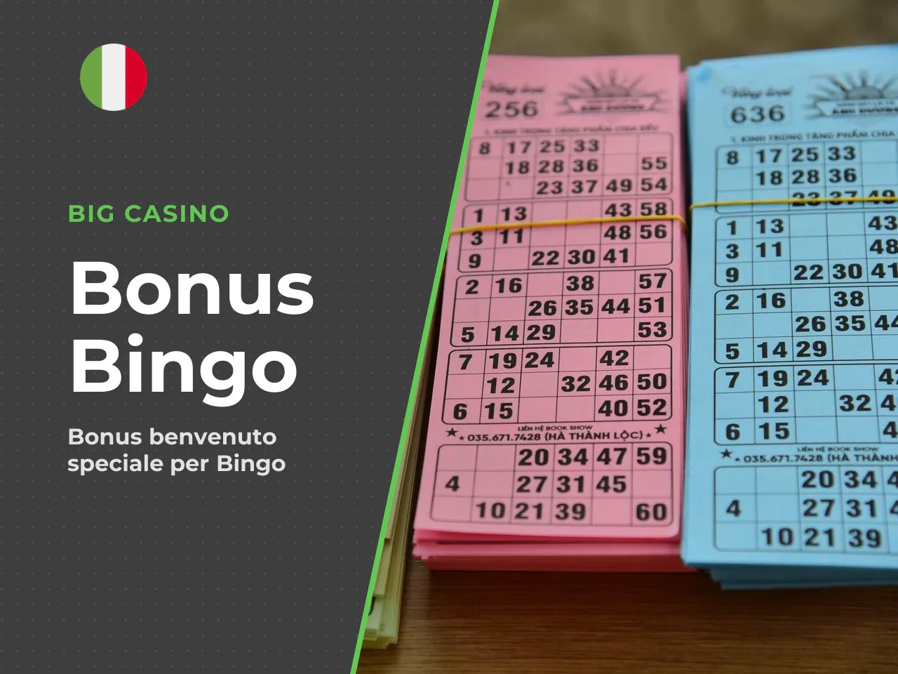 Bonus Bingo Big Casino un'offerta dedicata