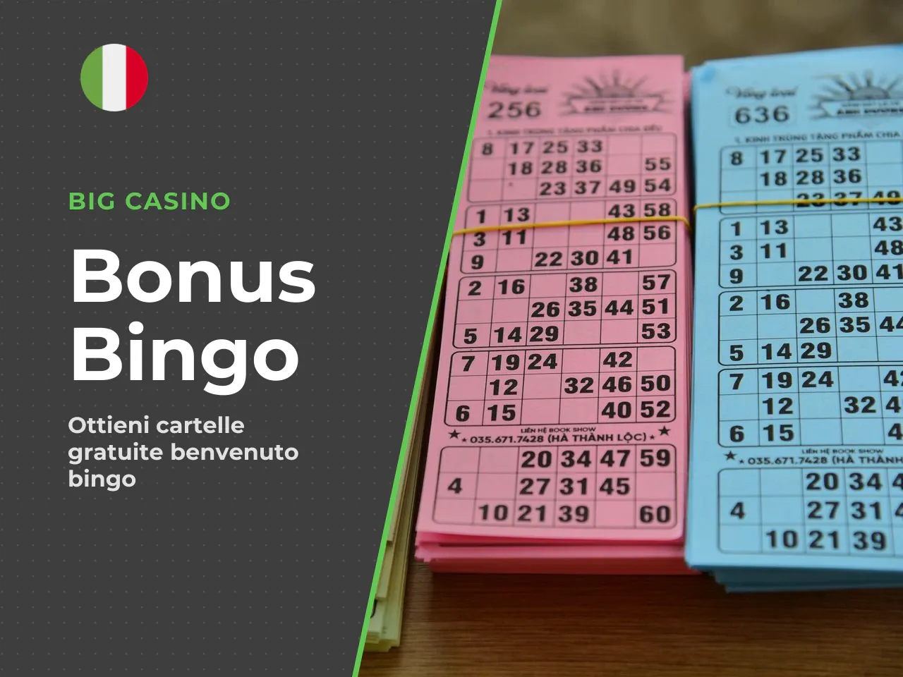 Bonus Bingo Big Casino: un'offerta dedicata. Oltre ai bonus per il casinò, BIG Casino proponeva anche un **bonus di benvenuto dedicato al Bingo**: fino a **50 cartelle gratis** per i nuovi utenti che